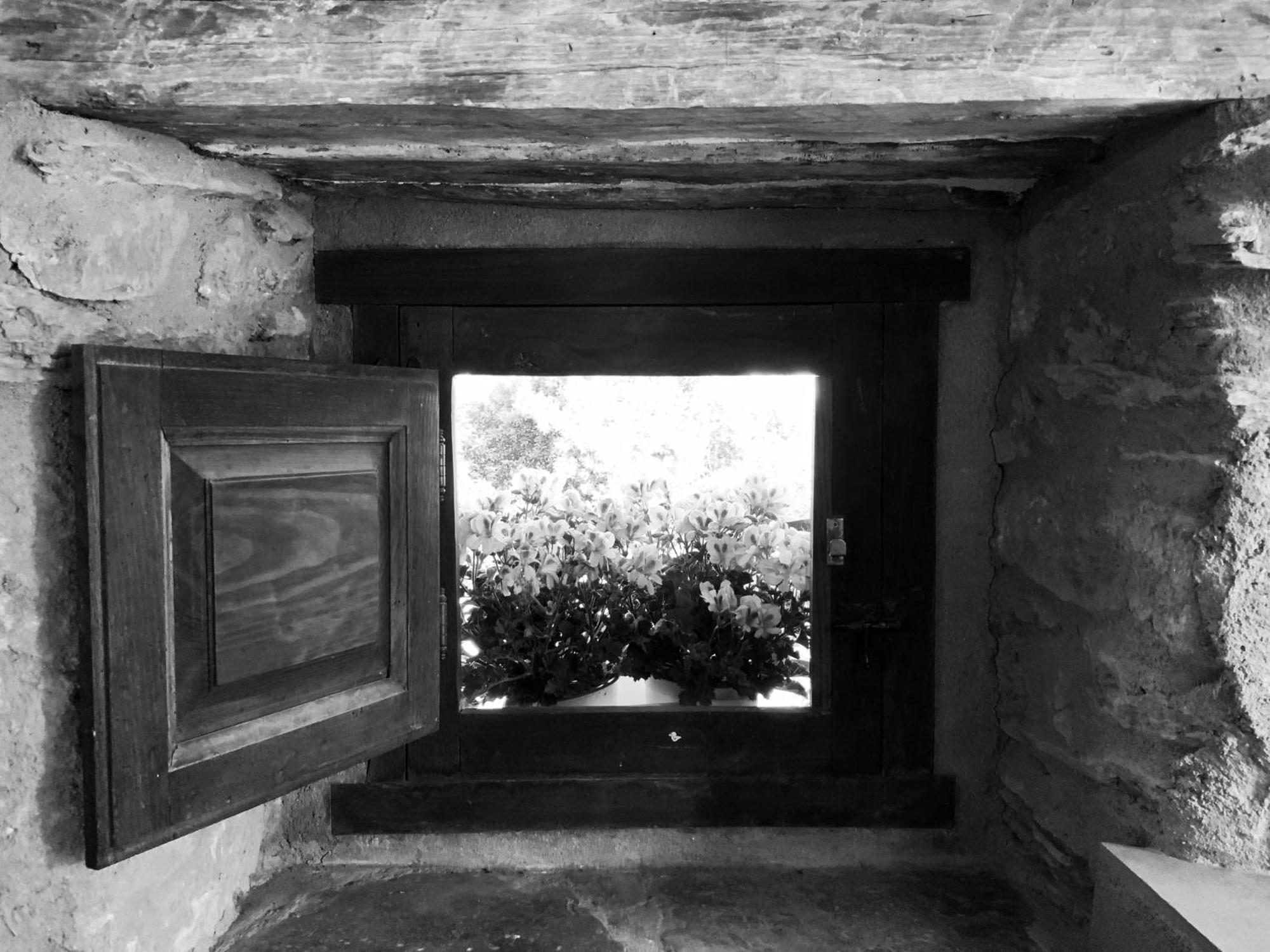 La Grulla Gris Konuk evi Perales del Puerto Dış mekan fotoğraf
