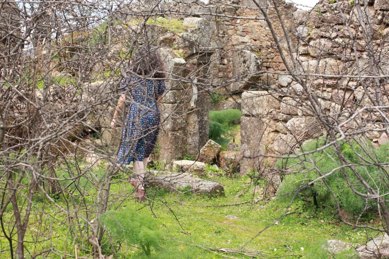 La Grulla Gris Konuk evi Perales del Puerto Dış mekan fotoğraf