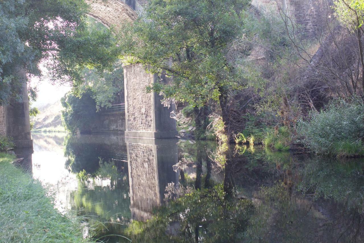 La Grulla Gris Konuk evi Perales del Puerto Dış mekan fotoğraf