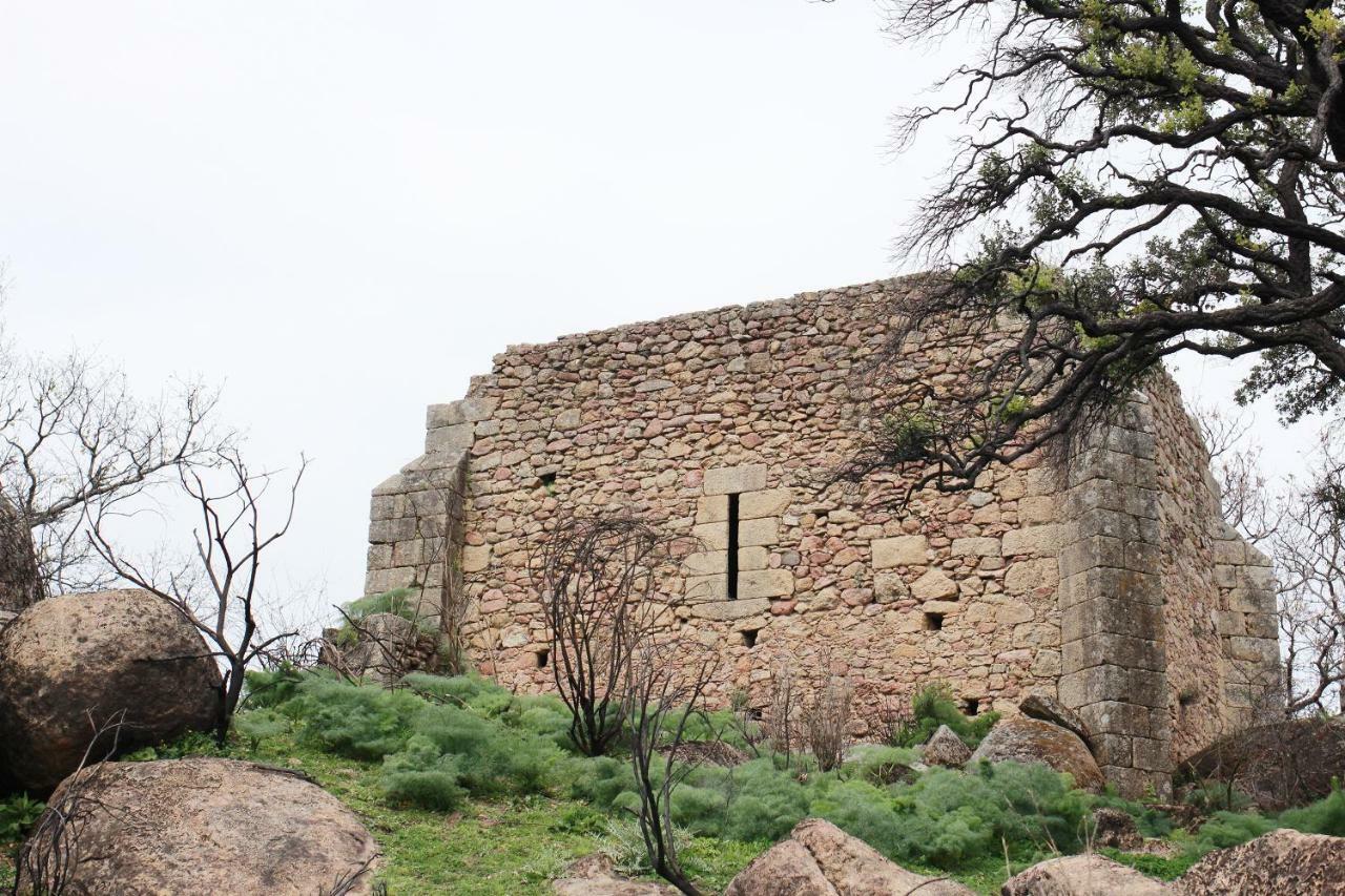 La Grulla Gris Konuk evi Perales del Puerto Dış mekan fotoğraf